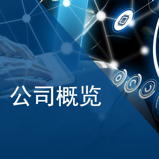 SRG Global 概况